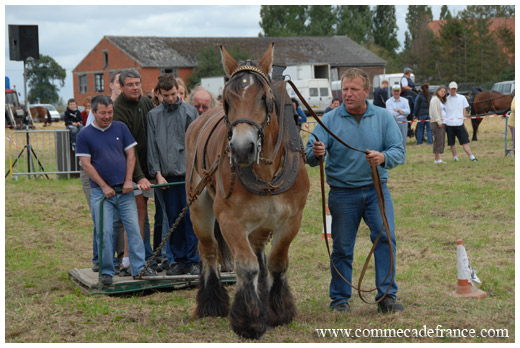 site de rencontre pour passionné de chevaux